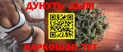 МДПВ Донецк
