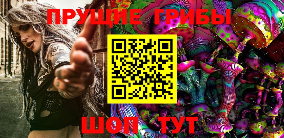 Псилоцибиновые грибы Cubensis Кушва