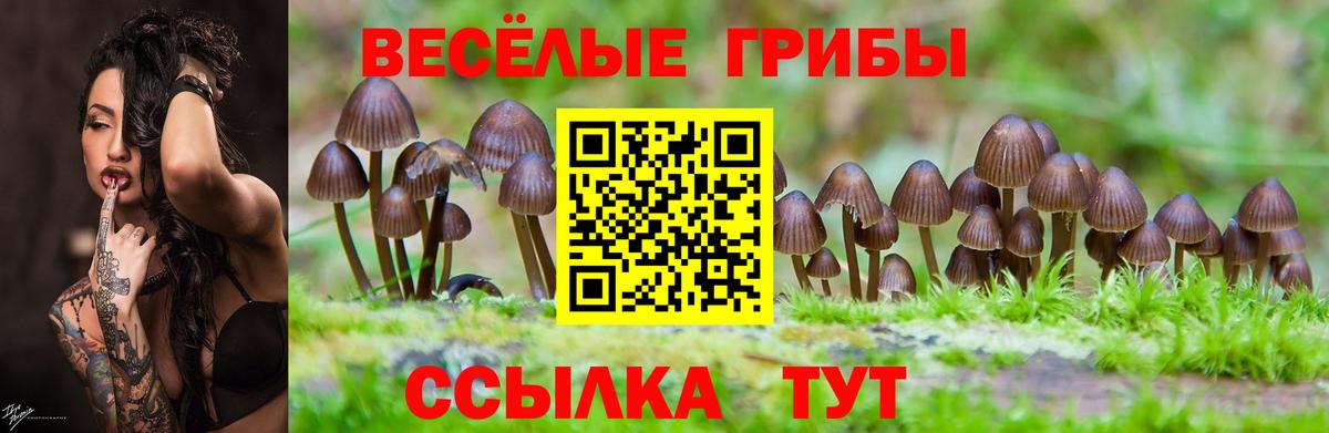 Галлюциногенные грибы мицелий  Вход с VPN  Псилоцибиновые грибы Psilocybine cubensis  Кушва 