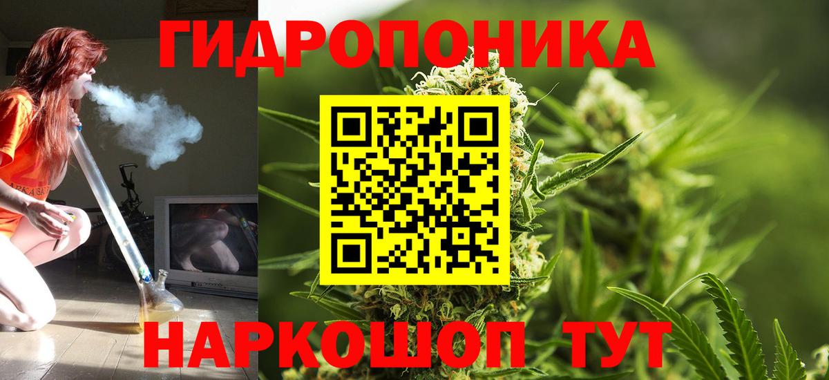 Кушва  Конопля гибрид  Каннабис OG Kush  Вход с VPN 
